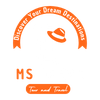 mstomartravels.com